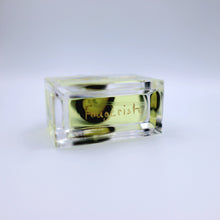 Load image into Gallery viewer, Fougèriste