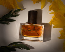 Load image into Gallery viewer, Narkissos (Νάρκισσος)